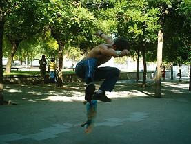 Descripci&oacute;n "Skate"